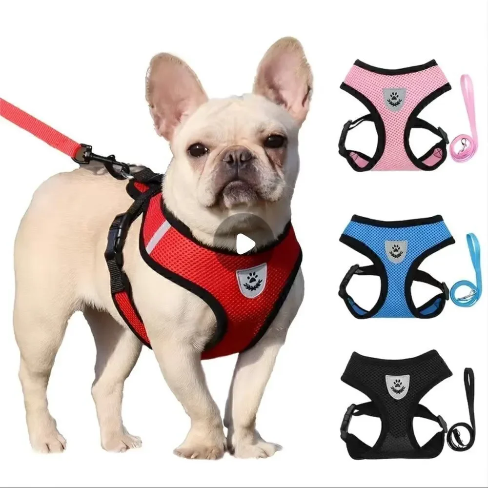 Pink Adjustable Reflective Pet Harness And Leash Set! NWT